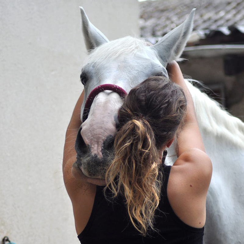 manipulation-cheval6 estelle et amadeus